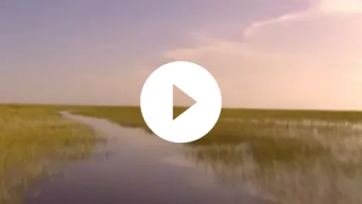 Video Play Preview