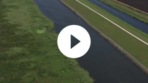 Vid_Okeechobee2