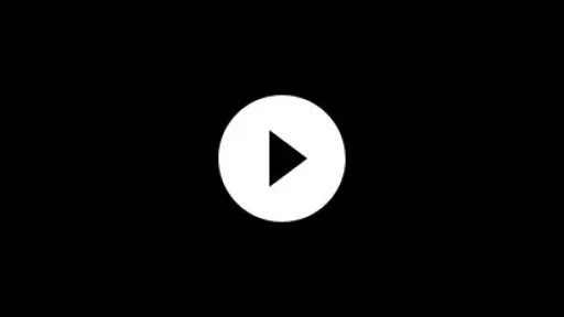 Schaffer Video2