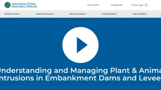 Understanding and Managing Plant