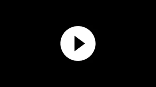 VidSheffield4
