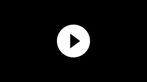 Video - AP LSF Dam