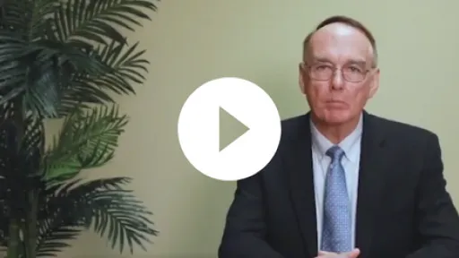 Video - Brumhadinho findings