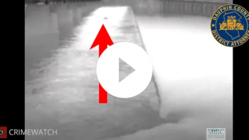 Video - CCTV footage Dock Street