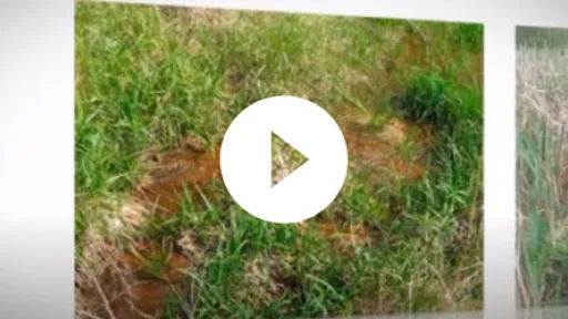 Video - Kansas Department of Agriculture Seepage