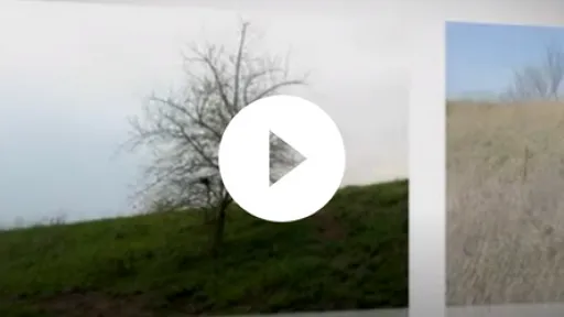 Video - Kansas Department of Agriculture Trees