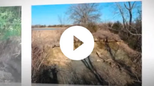 Video - Kansas Department of Agriculture headcutting