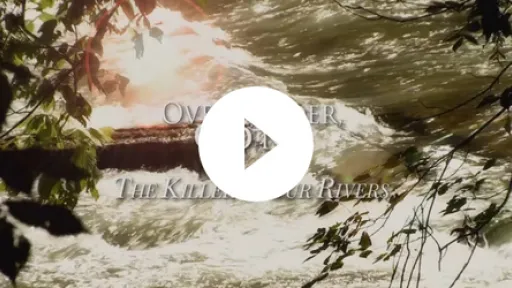 Video - Over, Under, Gone &ndash; The Killer in Our Rivers