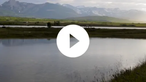 Video - PBS Indies, Sixty-Four Flood Beneath The Surface