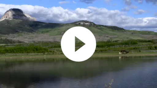 Video PBS Indies, Sixty-Four Flood Kittowahsin