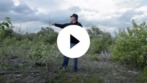 Video - PBS Indies, Sixty-Four Flood Something Special