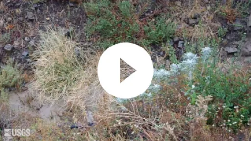 Video - Post-Fire Flooding and Debris Flow
