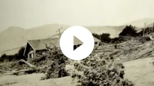 Video - Unveiling of “The Warning” statue