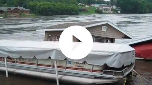 Video - a sad day at lake delhi