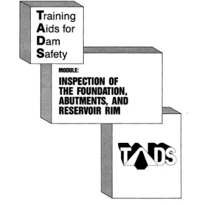 BP_TADSInspFoundAbutResRim