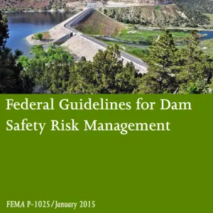 Filters for Embankment Dams