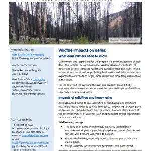 Focus-on-Dams-and-Wildfires