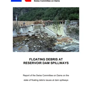 Microsoft-Word-2018-06-21_STK_Schwemmholz_Schlussbericht_EN_Final-docx