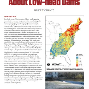 OR_What we know (and don't know) about low-head dams