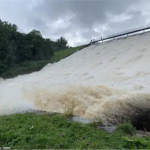 Toddbrook4