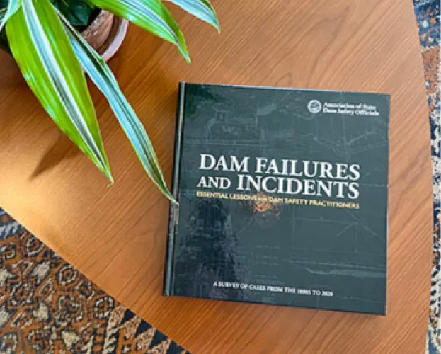 Dam Failures Book