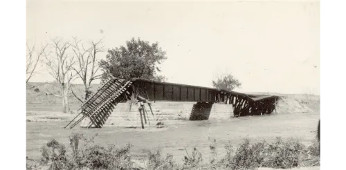Schaeffer5
